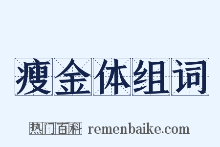 瘦金体组词是什么意思的图片